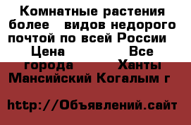 Комнатные растения более200видов недорого почтой по всей России › Цена ­ 100-500 - Все города  »    . Ханты-Мансийский,Когалым г.
